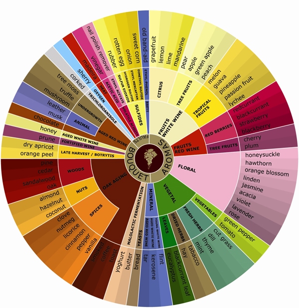 The 13 Different Aroma Families in Wine